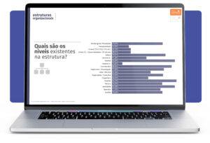 Estrutura de cargos
